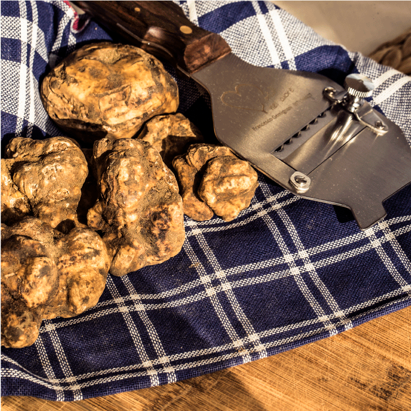 Tartufo Bianco Fresco