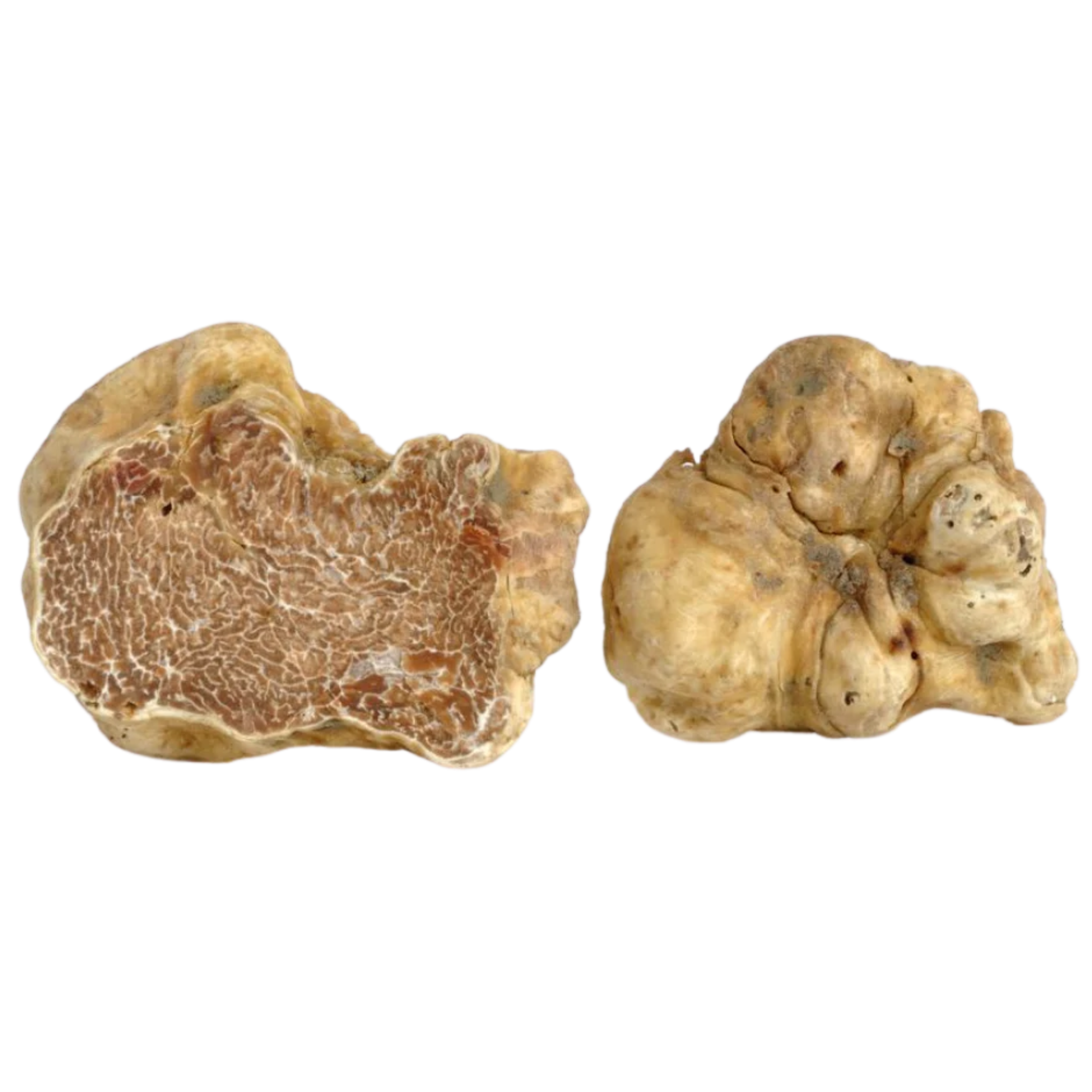 Tartufo Bianco d'Alba