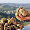 Tartufo Bianco d'Alba (Tuber Magnatum Pico)