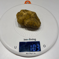 Tartufo Bianco d'Alba (Tuber Magnatum Pico)